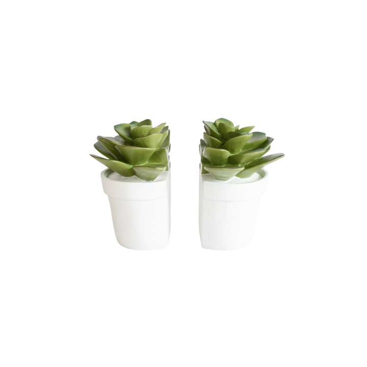 Luxurious Succulent Bookends - Elevate Your Home Decor
Add a sophisticated touch to your living space with these exquisite succulent bookends, expertly crafted from premium materials. Each piece measures 15cm x 15cm, boasting a timeless, chic design that brings refinement to your bookshelves. Unique Books.