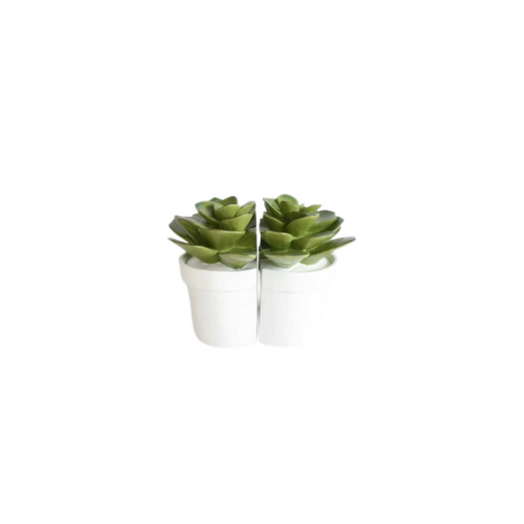 Luxurious Succulent Bookends - Elevate Your Home Decor
Add a sophisticated touch to your living space with these exquisite succulent bookends, expertly crafted from premium materials. Each piece measures 15cm x 15cm, boasting a timeless, chic design that brings refinement to your bookshelves. Unique Books.