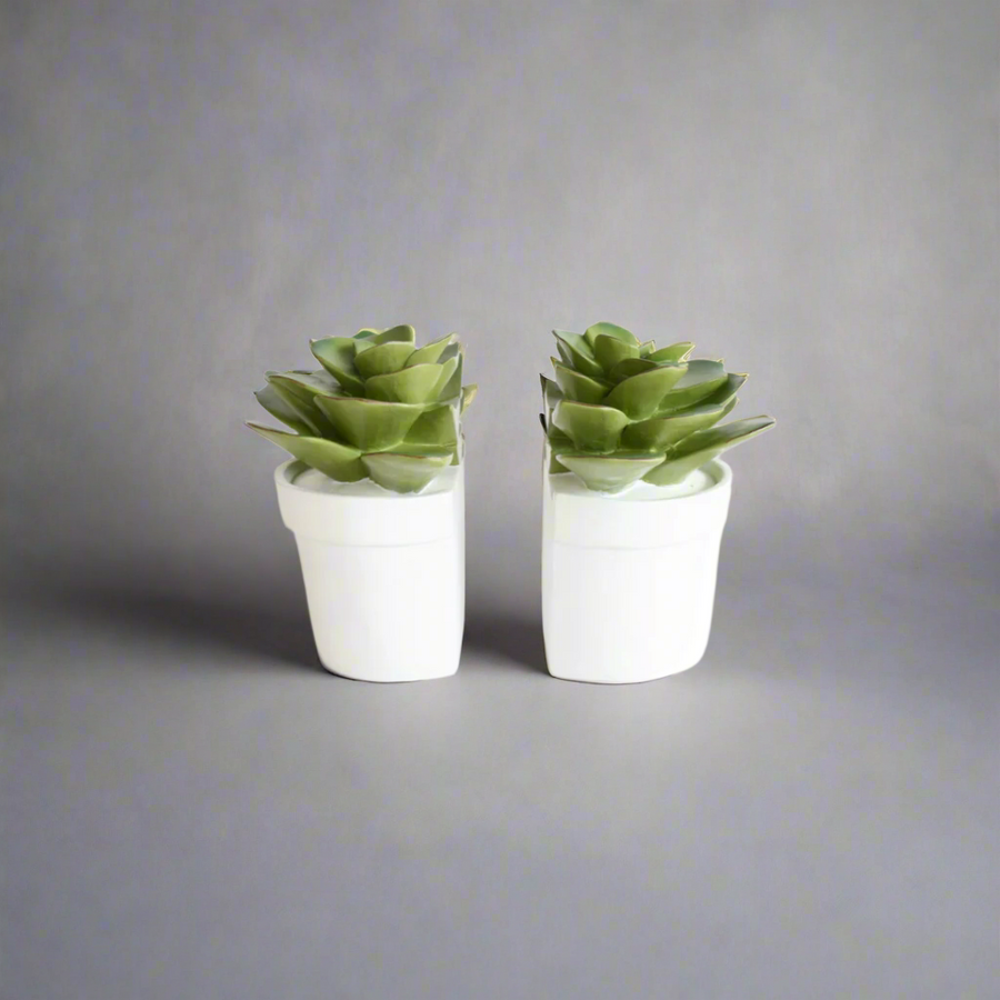 Luxurious Succulent Bookends - Elevate Your Home Decor
Add a sophisticated touch to your living space with these exquisite succulent bookends, expertly crafted from premium materials. Each piece measures 15cm x 15cm, boasting a timeless, chic design that brings refinement to your bookshelves. Unique Books.