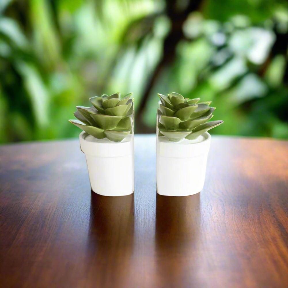Luxurious Succulent Bookends - Elevate Your Home Decor
Add a sophisticated touch to your living space with these exquisite succulent bookends, expertly crafted from premium materials. Each piece measures 15cm x 15cm, boasting a timeless, chic design that brings refinement to your bookshelves. Unique Books.