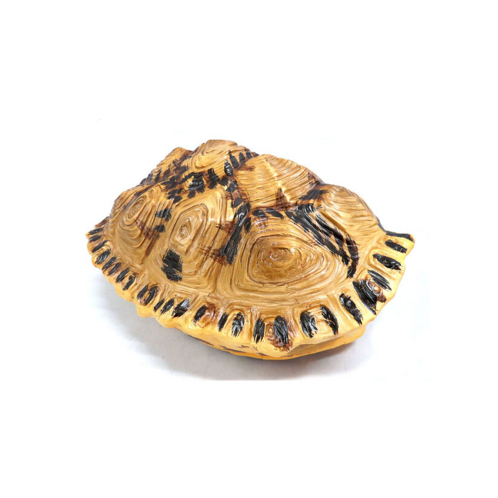 Introducing the Shyman Tortoise
Elegant and Versatile Decor for Your Home
Add a touch of elegance to your space with our beautifully crafted Shyman Tortoise. Measuring 21cm x 14cm x 28cm, this chunky, double-sided decor piece offers versatile display options - hang it up or use it as a stunning table centerpiece.