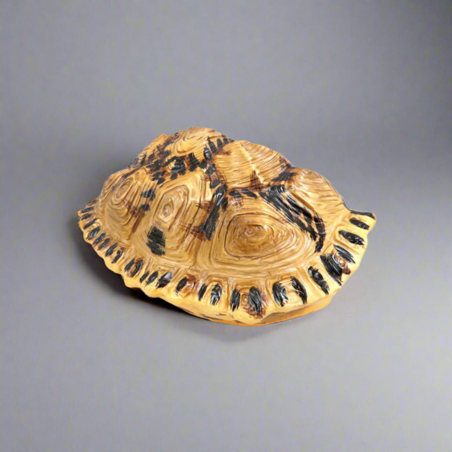 Introducing the Shyman Tortoise
Elegant and Versatile Decor for Your Home
Add a touch of elegance to your space with our beautifully crafted Shyman Tortoise. Measuring 21cm x 14cm x 28cm, this chunky, double-sided decor piece offers versatile display options - hang it up or use it as a stunning table centerpiece.