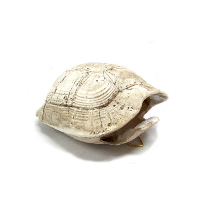 
Introducing the Slobro Turtle
Versatile and Stylish Decor for Your Home
Add a touch of coastal charm to your space with our stunning Slobro Turtle. Measuring 10cm x 6cm x 13cm, this unique "bleached" double-sided tortoise shell can be used as a hanging decoration or a stylish table centerpiece.
Perfect for:
Adding a touch of coastal elegance to your home or office decor
Creating a unique and eye-catching conversation piece
Elevating your space with a versatile and stylish decorative item
Key Features:
Uniq