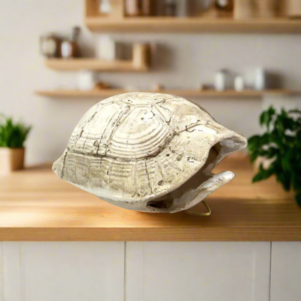 
Introducing the Slobro Turtle
Versatile and Stylish Decor for Your Home
Add a touch of coastal charm to your space with our stunning Slobro Turtle. Measuring 10cm x 6cm x 13cm, this unique "bleached" double-sided tortoise shell can be used as a hanging decoration or a stylish table centerpiece.
Perfect for:
Adding a touch of coastal elegance to your home or office decor
Creating a unique and eye-catching conversation piece
Elevating your space with a versatile and stylish decorative item
Key Features:
Uniq