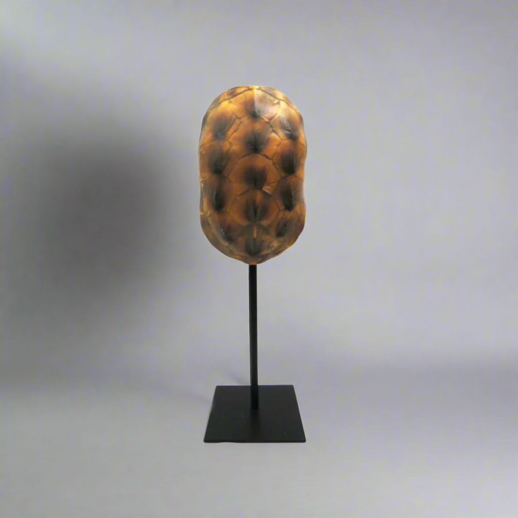 Introducing Spot On
Elegant Tortoise Figurine for Your Home
Add a touch of elegance to your space with our beautifully crafted Spot On tortoise figurine. Measuring 11.5cm x 11cm x 34cm, this stunning double-sided piece boasts a sturdy stand and hand-painted design, expertly crafted with attention to detail.