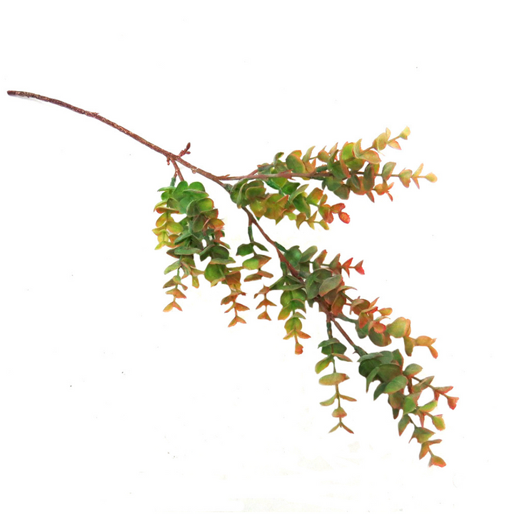 Introducing the Spring Eucalyptus Stem
Elevate Your Space with Timeless Elegance
Add a touch of freshness and sophistication to your home or office with our stunning Spring Eucalyptus Stem. This beautiful artificial stem is designed to capture the essence of spring, with vibrant colors and delicate details that will brighten up any room.
Perfect for:
Decorating your living room, bedroom, or office
Adding a pop of color to your floral arrangements
Creating a beautiful centerpiece for your dining table

