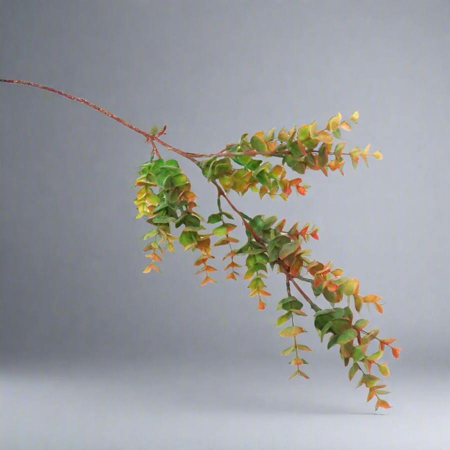 Introducing the Spring Eucalyptus Stem
Elevate Your Space with Timeless Elegance
Add a touch of freshness and sophistication to your home or office with our stunning Spring Eucalyptus Stem. This beautiful artificial stem is designed to capture the essence of spring, with vibrant colors and delicate details that will brighten up any room.