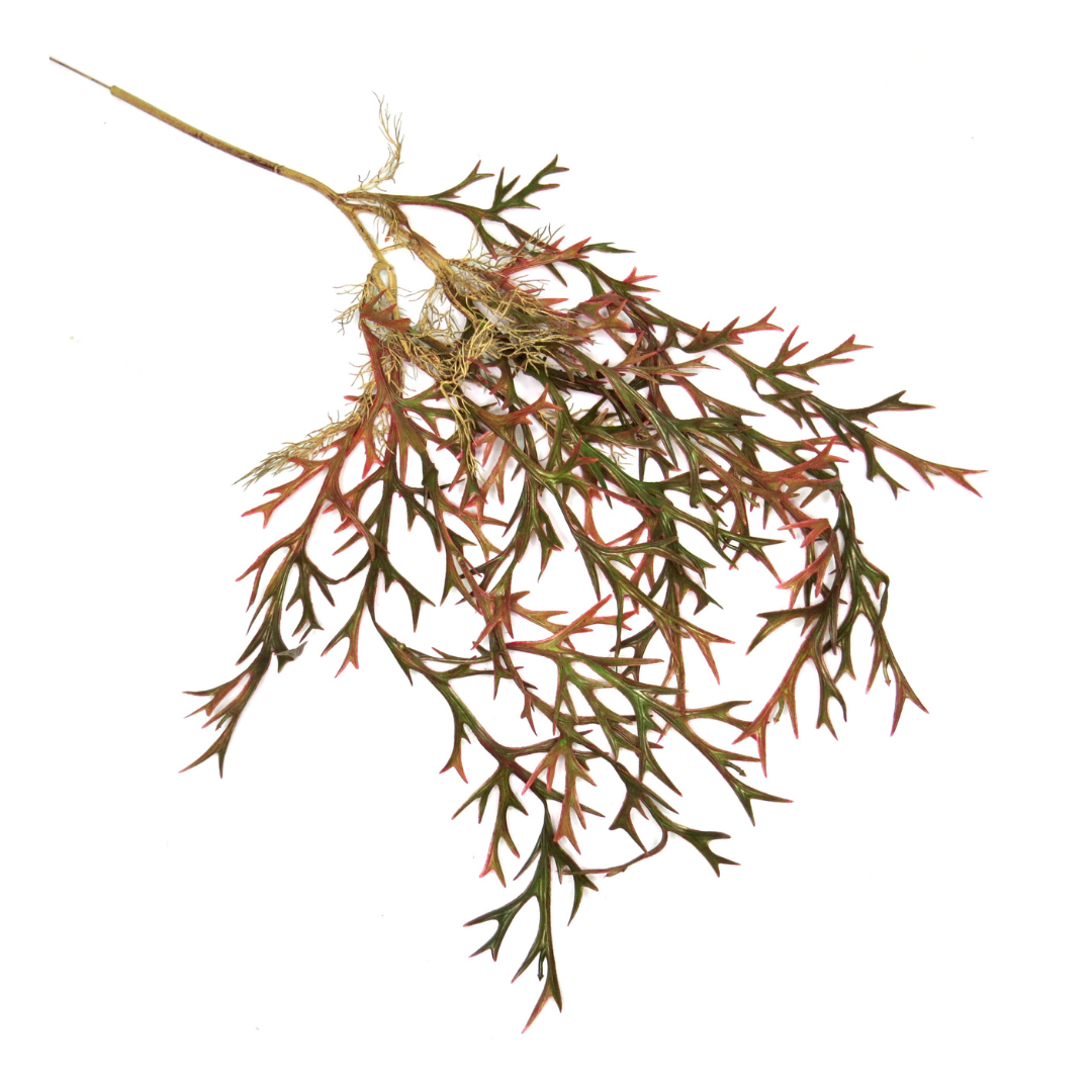 Introducing the Staghorn Paintbox Vine
Vibrant and Versatile Artificial Plant for Your Home or Garden
Add a pop of color to your space with our stunning Staghorn Paintbox Vine. Measuring 110cm in length, this artificial plant is perfect for enhancing the aesthetic of any room or outdoor area.
