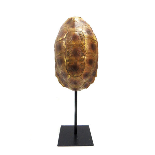 Introducing the Taco Tortoise
Elegant and Versatile Decor for Your Home or Office
Add a touch of beauty and charm to your space with our stunning Taco Tortoise. This elegant double-sided tortoise on a stand boasts a compact size of 13cm x 11cm x 34cm, making it perfect for any room. www.uniqueboys.co.za