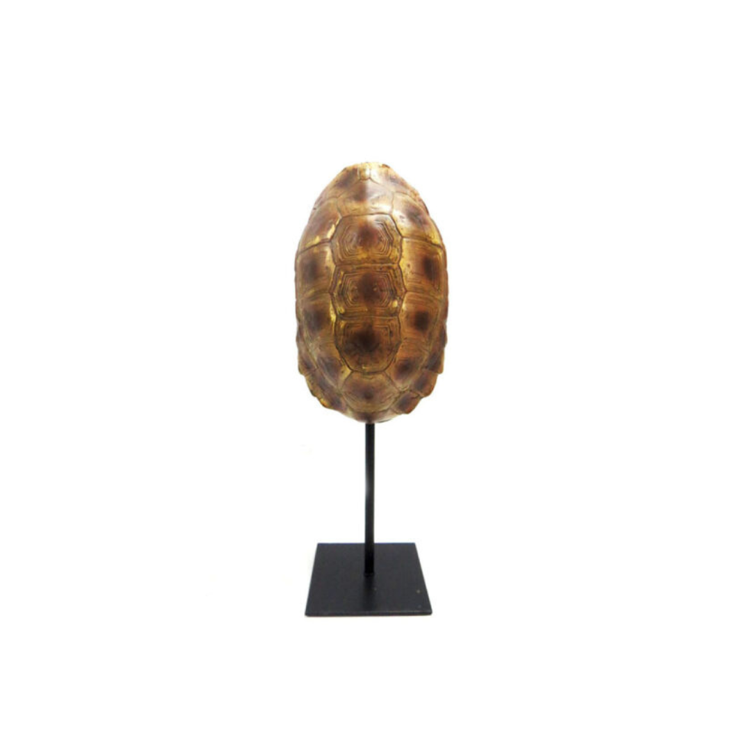 Introducing the Taco Tortoise
Elegant and Versatile Decor for Your Home or Office
Add a touch of beauty and charm to your space with our stunning Taco Tortoise. This elegant double-sided tortoise on a stand boasts a compact size of 13cm x 11cm x 34cm, making it perfect for any room. www.uniqueboys.co.za