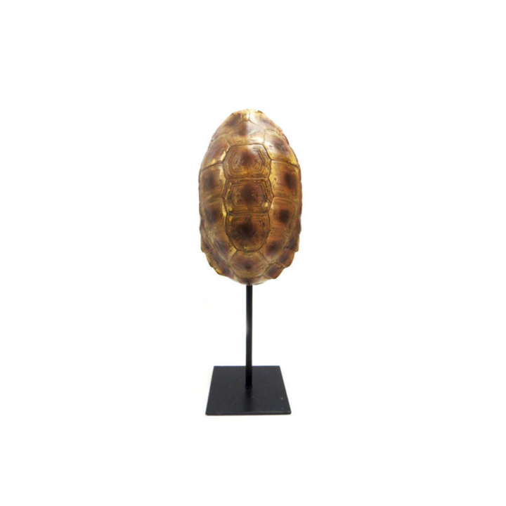 Introducing the Taco Tortoise
Elegant and Versatile Decor for Your Home or Office
Add a touch of beauty and charm to your space with our stunning Taco Tortoise. This elegant double-sided tortoise on a stand boasts a compact size of 13cm x 11cm x 34cm, making it perfect for any room. www.uniqueboys.co.za