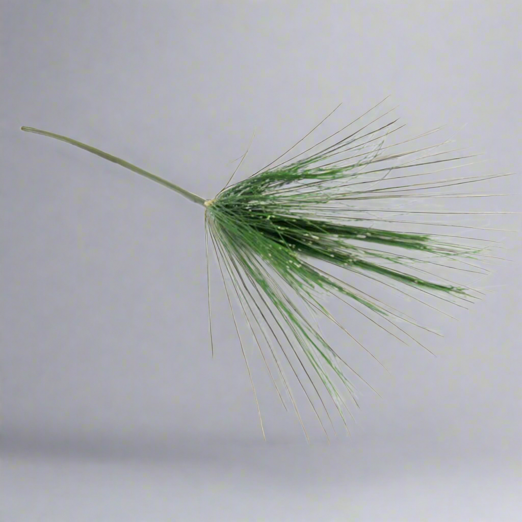 Umbrella Grass Stem
