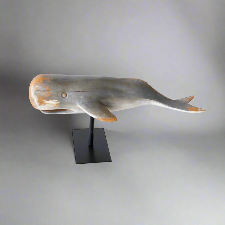 Medium grey whale on stand