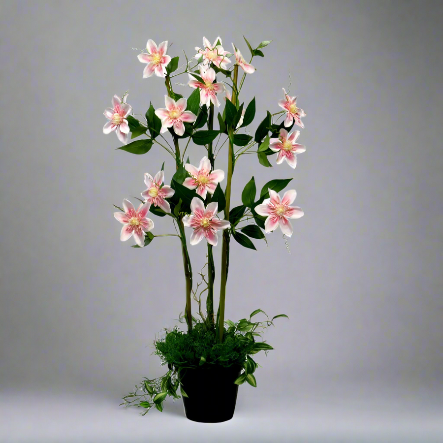 Product Details: Pink Clematis Perfection
Description: A stunning artificial Pink Clematis plant with 15 flowers and 66 leaves, adding an elegant touch to any decor.
Material: Artificial
Size: 76cm height x 48cm width
Features:
15 beautiful flowers
66 lush green leaves
Bamboo bower with twining ferns and stripey green leaves
Uses:
Adding a touch of elegance to any space
Perfect for indoor decor, offices, or homes
Great for those who want low-maintenance plants
Store: Unique Boys, offering trendy decor that 
