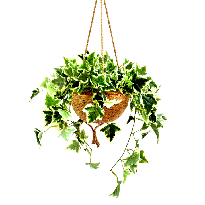Habitat Hanging Plant Basket
Bring the outdoors in with the stunning Habitat Hanging Plant Basket, featuring a lush, artificial variegated ivy plant. Perfect for adding a touch of natural beauty to any room.