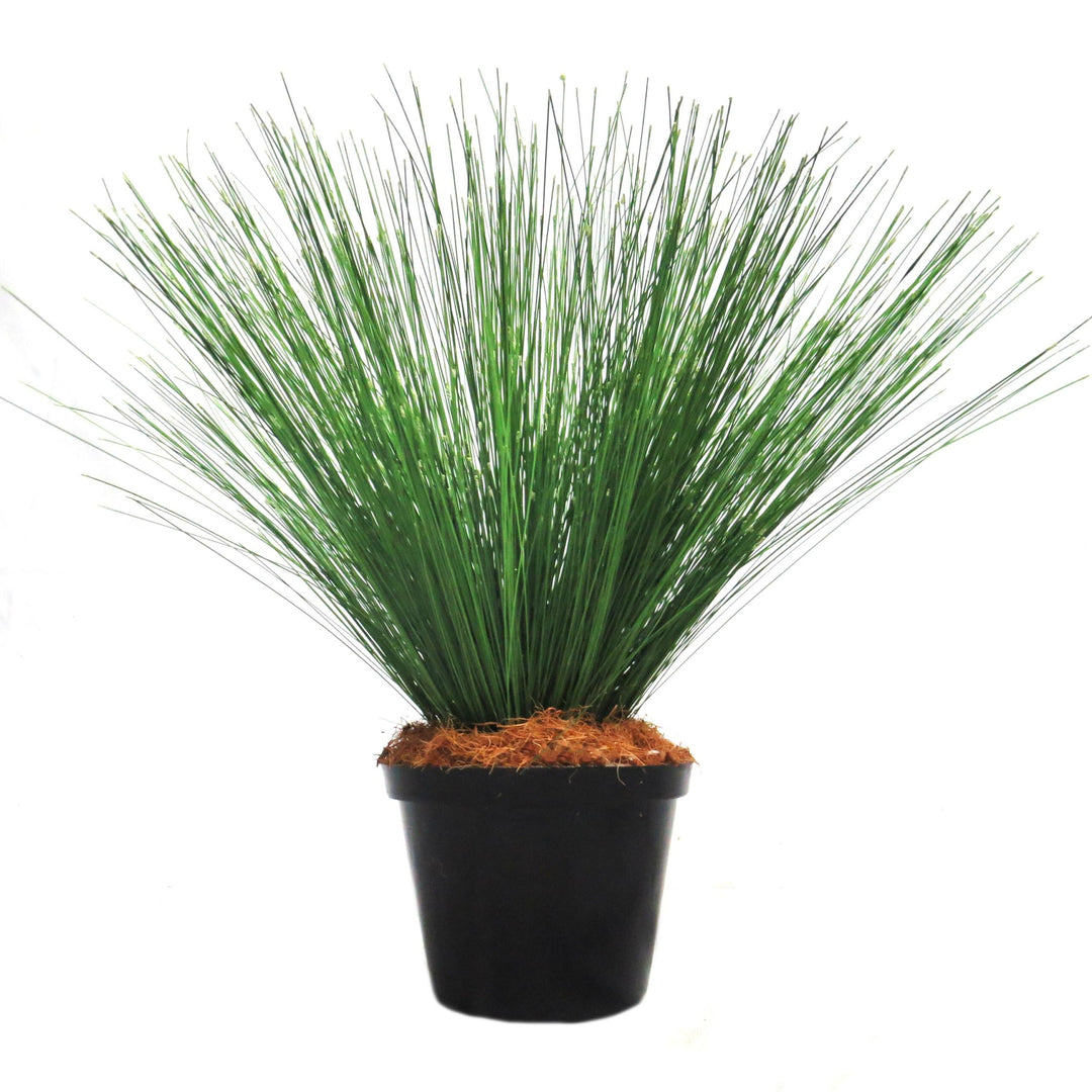 River Reeddance Plant
Description
Bring the serenity of nature indoors with the breathtaking River Reeddance Plant. This artificial plant boasts thousands of delicate, fluffy seed heads and rich green foliage, creating a stunning addition to any room.