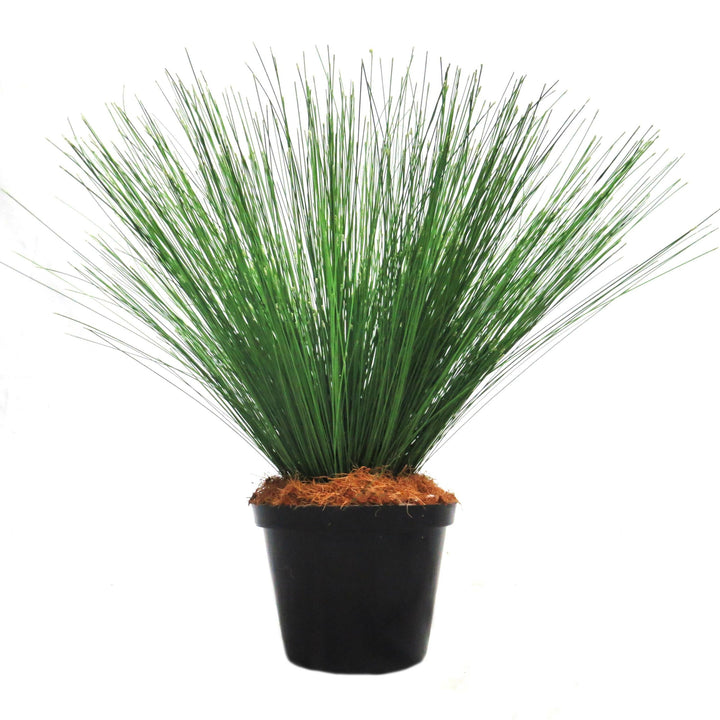 River Reeddance Plant
Description
Bring the serenity of nature indoors with the breathtaking River Reeddance Plant. This artificial plant boasts thousands of delicate, fluffy seed heads and rich green foliage, creating a stunning addition to any room.