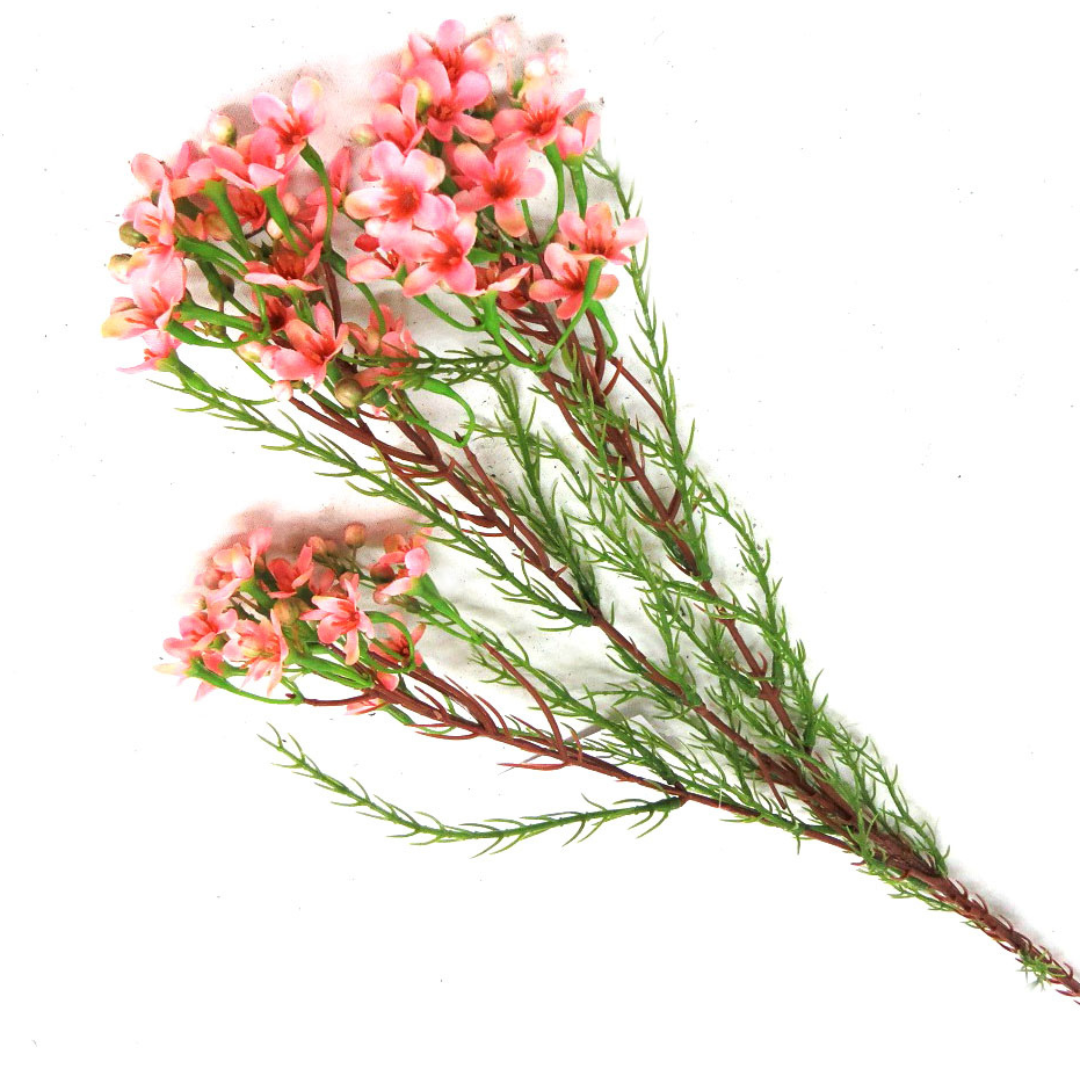 Wax Spray Pink Artificial Plant
This 78cm artificial Wax Spray Pink boasts beautifully shaped pink blooms, complemented by fine fynbossie-type greenery leaves. Its unique form and stunning color will add a touch of beauty to any space.