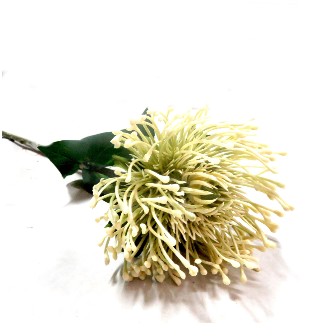 White Pincushion Artificial Plant
As a pincushion protea, the White Pincushion boasts generous proportions, with a 73cm stem and a large, full flower head that measures 11cm in diameter. Its beautiful off-white shades make for a truly spectacular and unique addition to any floral arrangement.