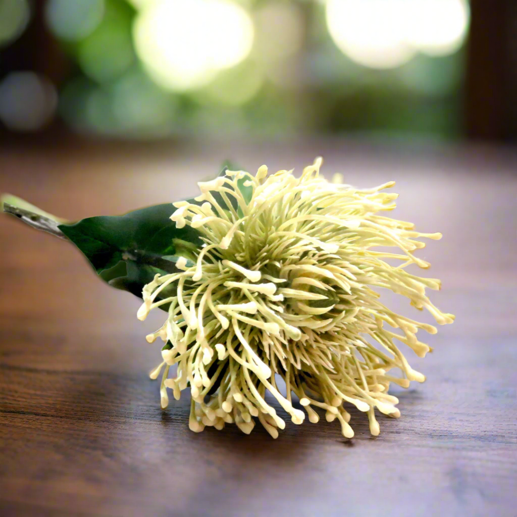 White Pincushion Artificial Plant
As a pincushion protea, the White Pincushion boasts generous proportions, with a 73cm stem and a large, full flower head that measures 11cm in diameter. Its beautiful off-white shades make for a truly spectacular and unique addition to any floral arrangement.