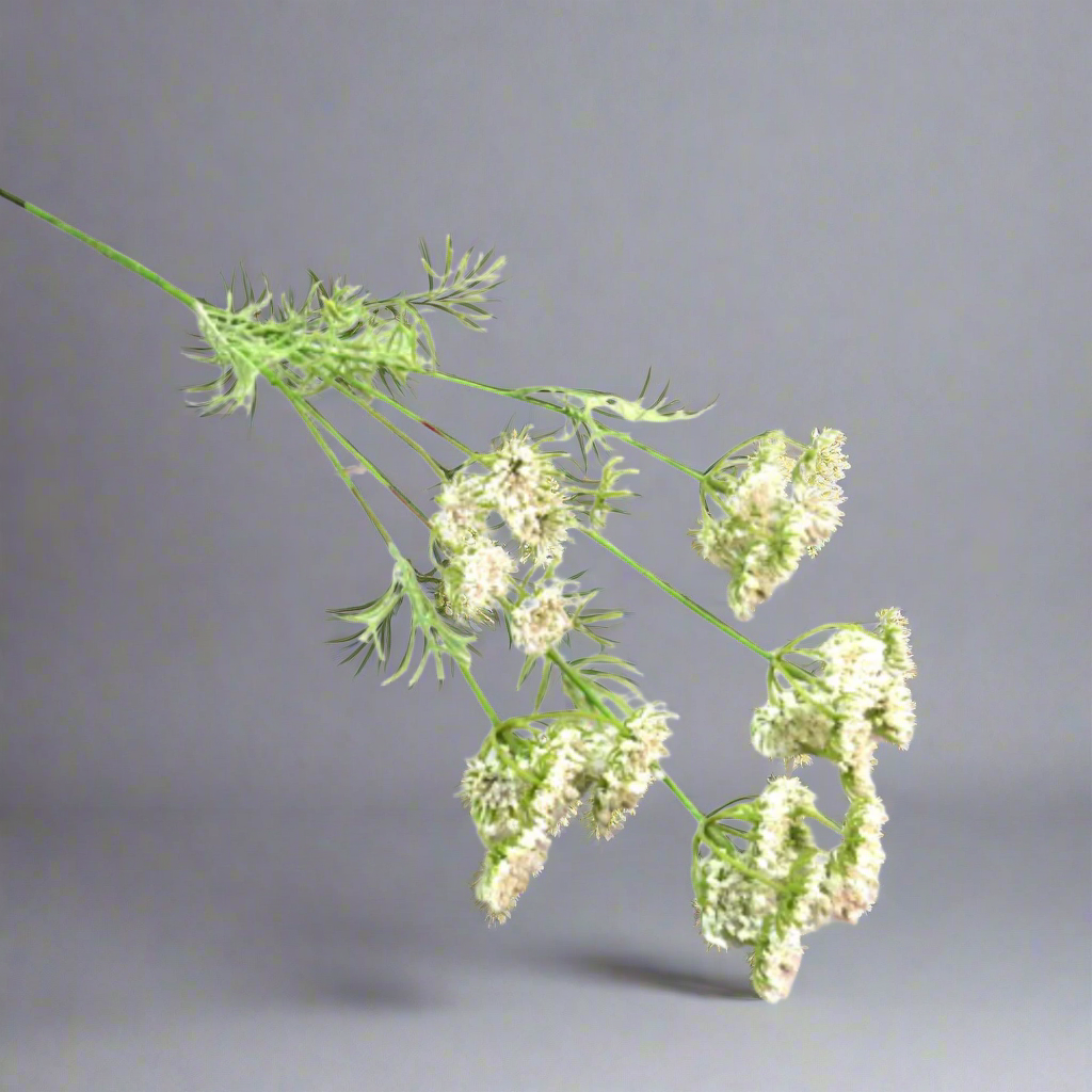 White Queen Anne's Lace Artificial Plant
Experience the captivating beauty of White Queen Anne's Lace, also known as "Cow Parsley". This stunning flower stands at an impressive 80 cm in length and boasts exquisitely delicate flower heads and botanical leaves. Its pure white color and perfect form make it a true fantasy in any arrangement.