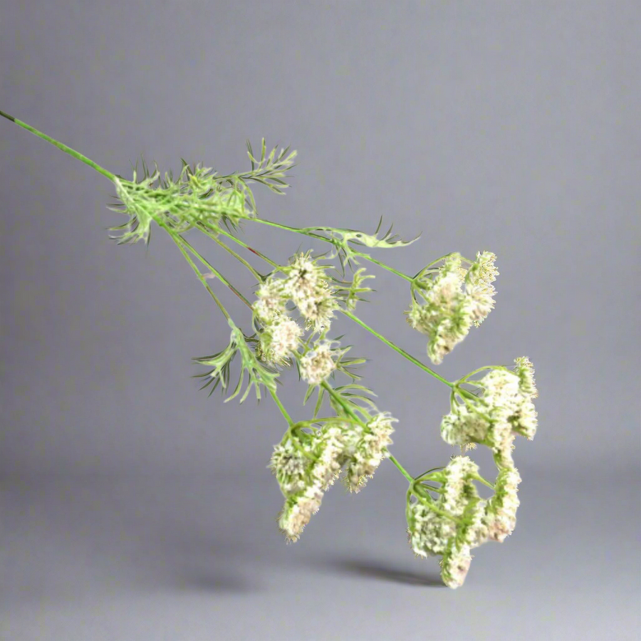 White Queen Anne's Lace Artificial Plant
Experience the captivating beauty of White Queen Anne's Lace, also known as "Cow Parsley". This stunning flower stands at an impressive 80 cm in length and boasts exquisitely delicate flower heads and botanical leaves. Its pure white color and perfect form make it a true fantasy in any arrangement.
