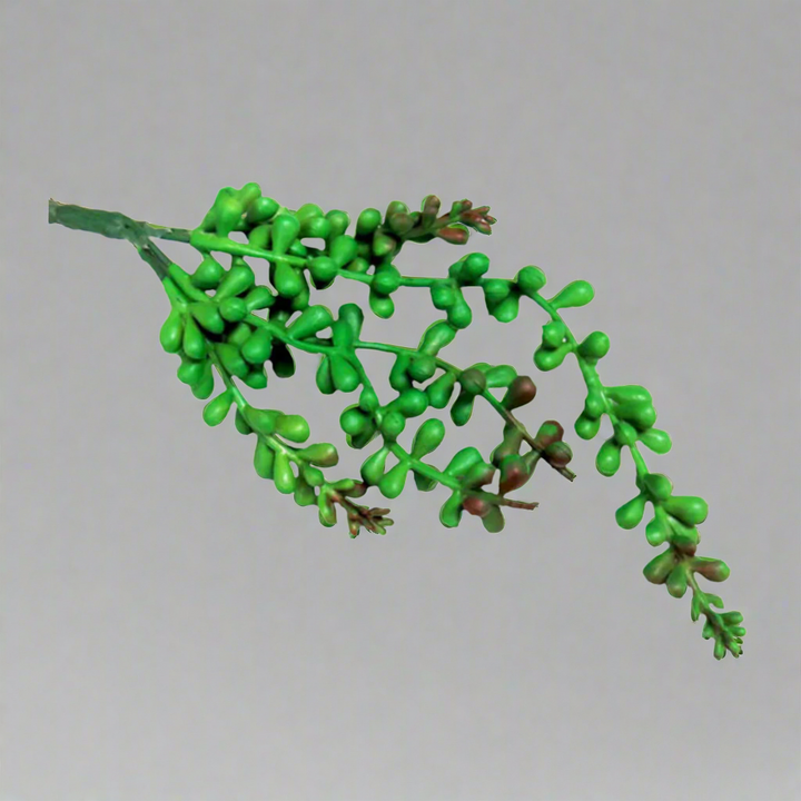 Introducing Wildberrybunch Fall
Bring the Vibrant Colors of Nature Indoors
Add a pop of color and a touch of natural beauty to your space with our stunning Wildberrybunch Fall plant. Measuring 28cm long with an 8cm stem, this artificial plant is perfect for bringing the outdoors in.