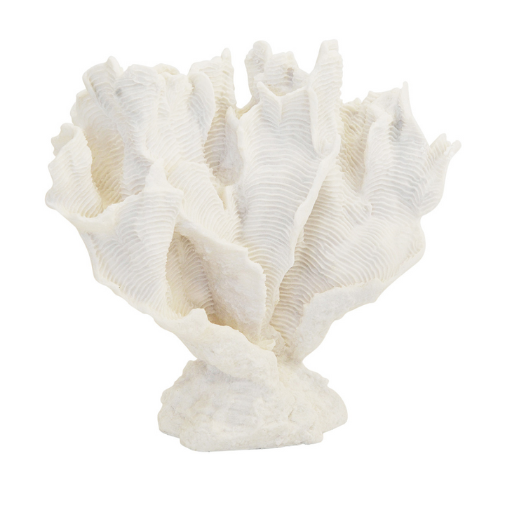 XL White Coral Lettuce on Stand (32cm x 40cm)
Elevate your home decor with this stunning extra-large coral lettuce sculpture on a white stand. Perfect for adding a touch of elegance and sophistication to any room, this unique piece is sure to draw compliments.
Product Details:
Size: 32cm x 40cm (12.6 inches x 15.7 inches)
Material: [Insert material, e.g., resin, ceramic]
Color: White with coral accents
Design: Coral lettuce sculpture on a white stand
Features:
Eye-catching interior decor piece
Unique boys