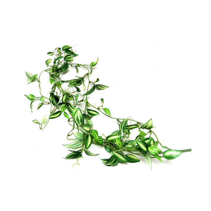Product Description: Zebrina Vine
Elevate your home decor with the stunning Zebrina Vine, a beautiful artificial plant that brings a touch of nature indoors. Featuring delicate variegated leaves and realistic 3D printed tendrils, this gorgeous vine is perfect for adding a natural and elegant touch to any room.