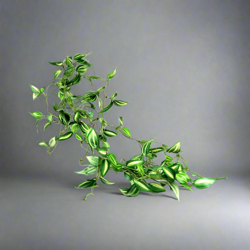 Product Description: Zebrina Vine
Elevate your home decor with the stunning Zebrina Vine, a beautiful artificial plant that brings a touch of nature indoors. Featuring delicate variegated leaves and realistic 3D printed tendrils, this gorgeous vine is perfect for adding a natural and elegant touch to any room.
