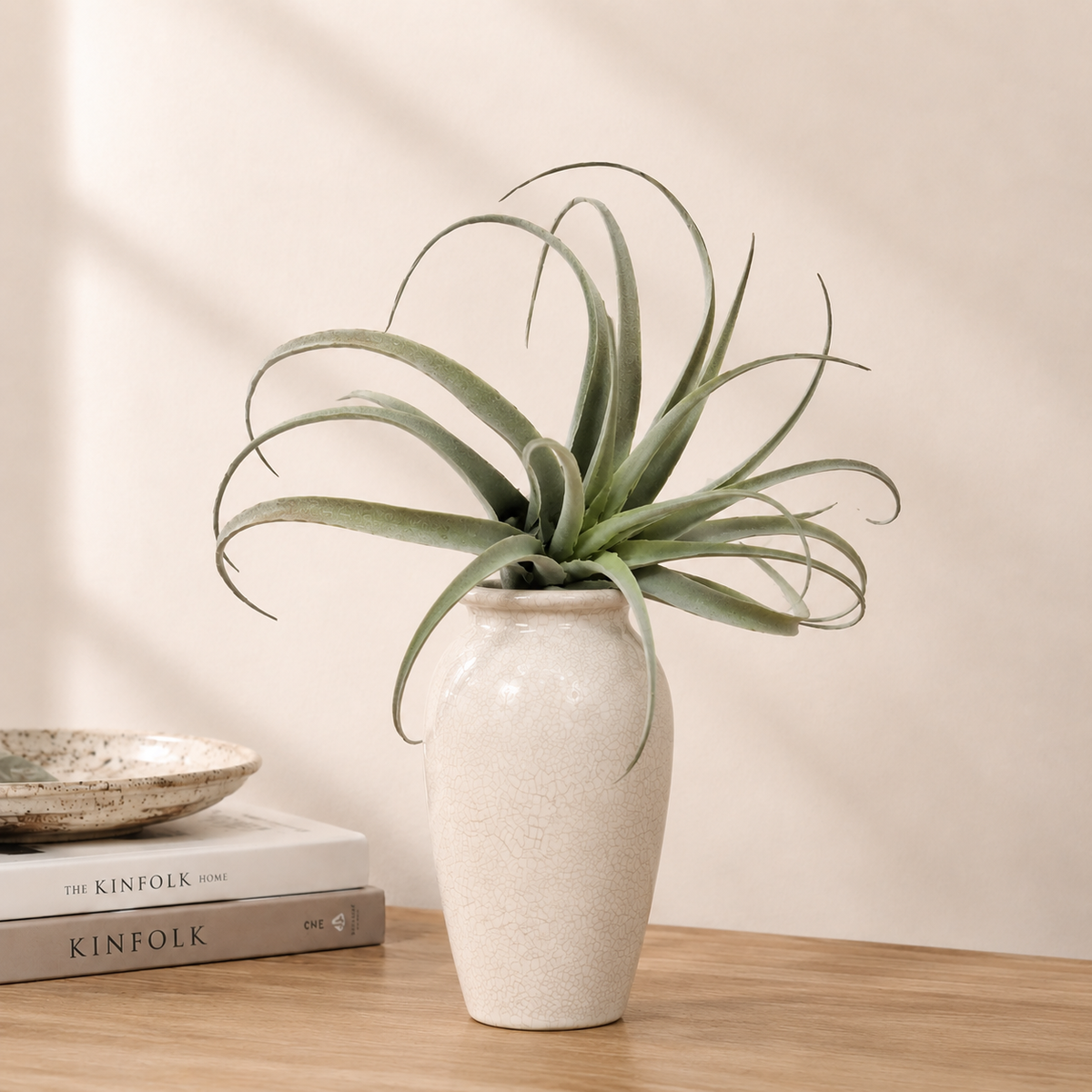 Airplant Skyward — luxury lifestyle product image