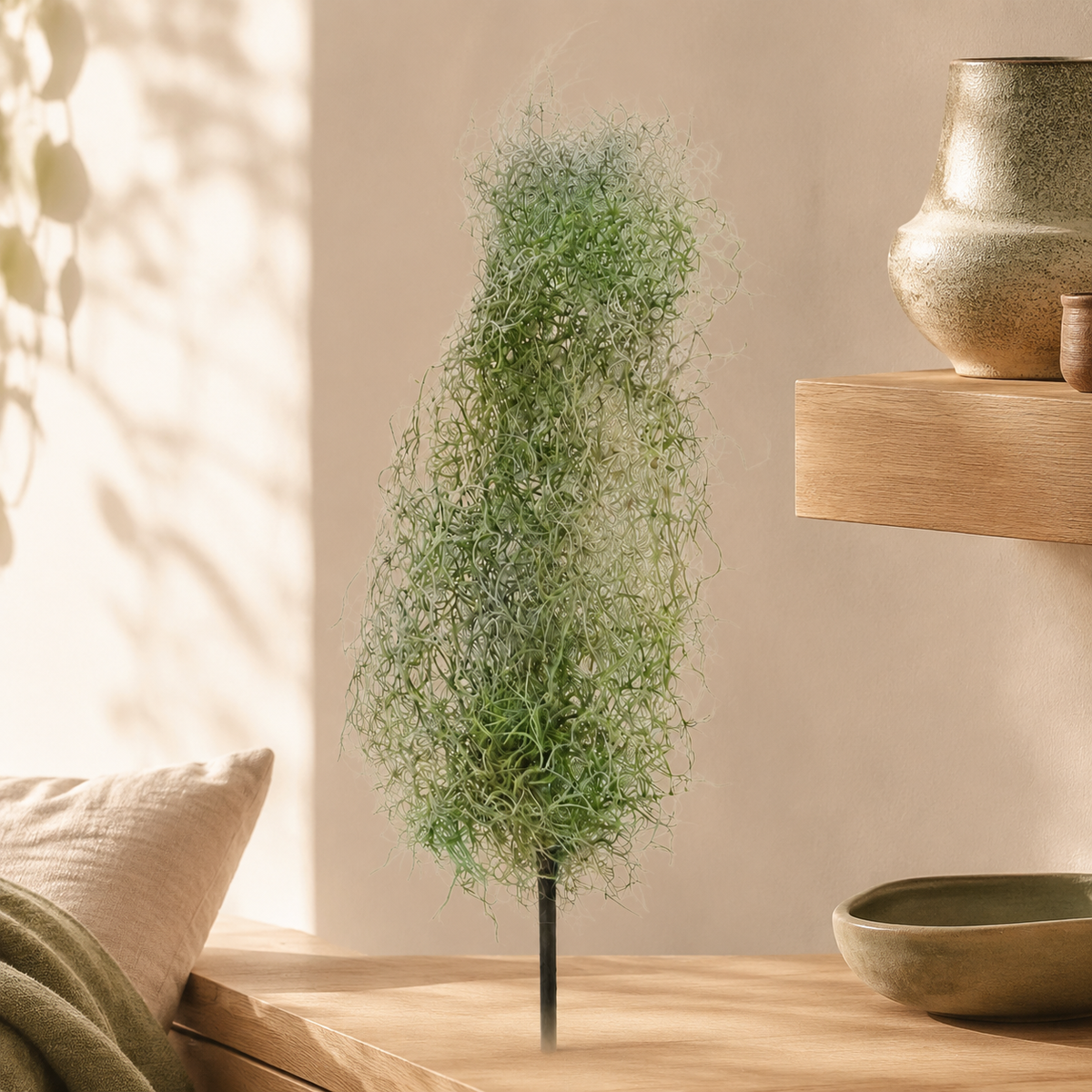 Airplant Windward lifestyle view