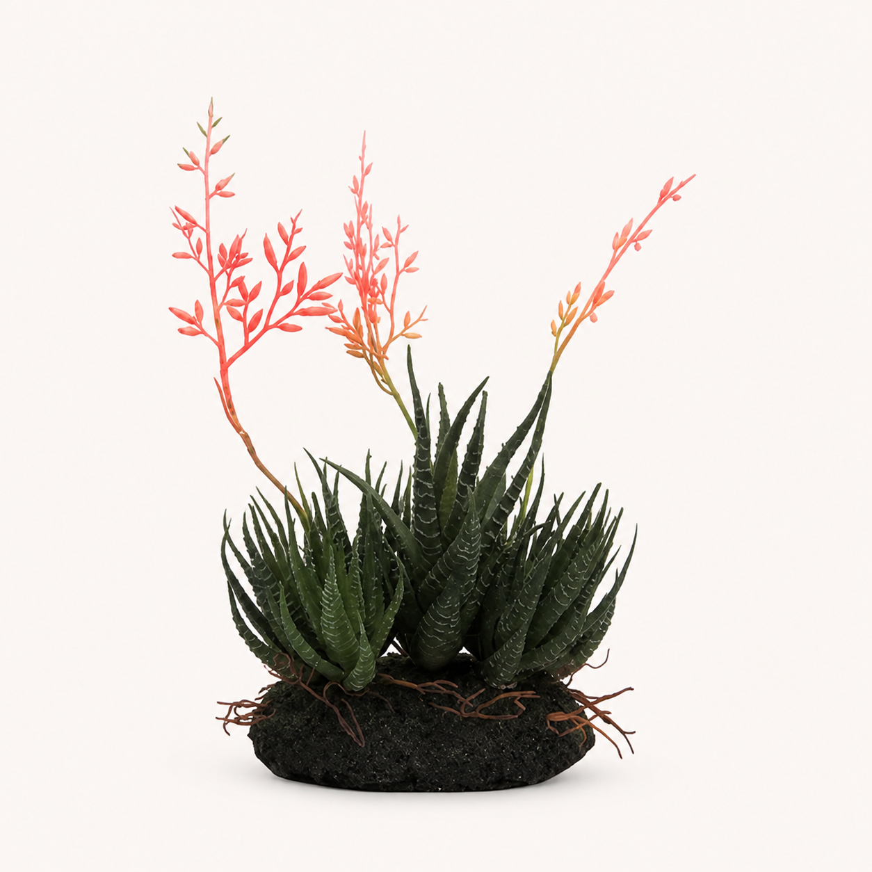 Aloe community — catalogue product image