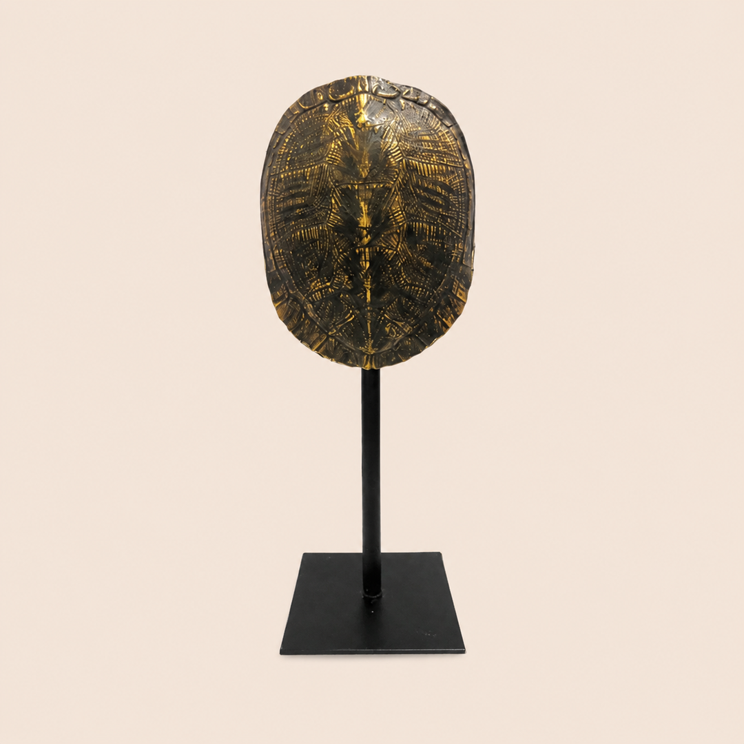 Apollo catalogue view