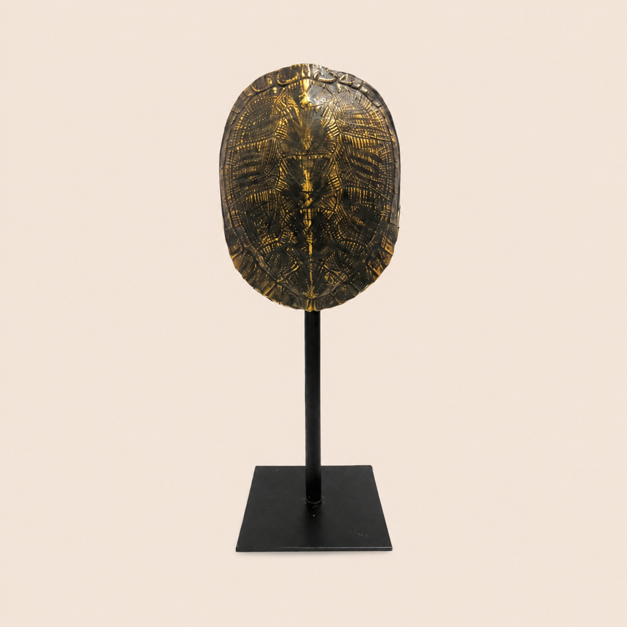Apollo catalogue view