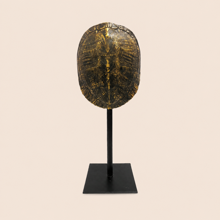 Apollo catalogue view