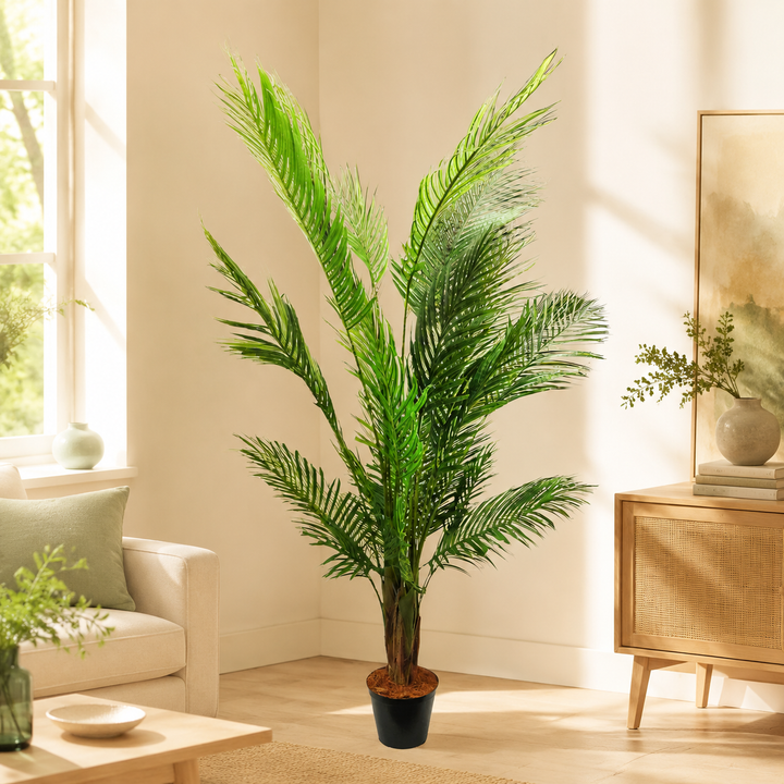 Areca Palm 6 – lifestyle view