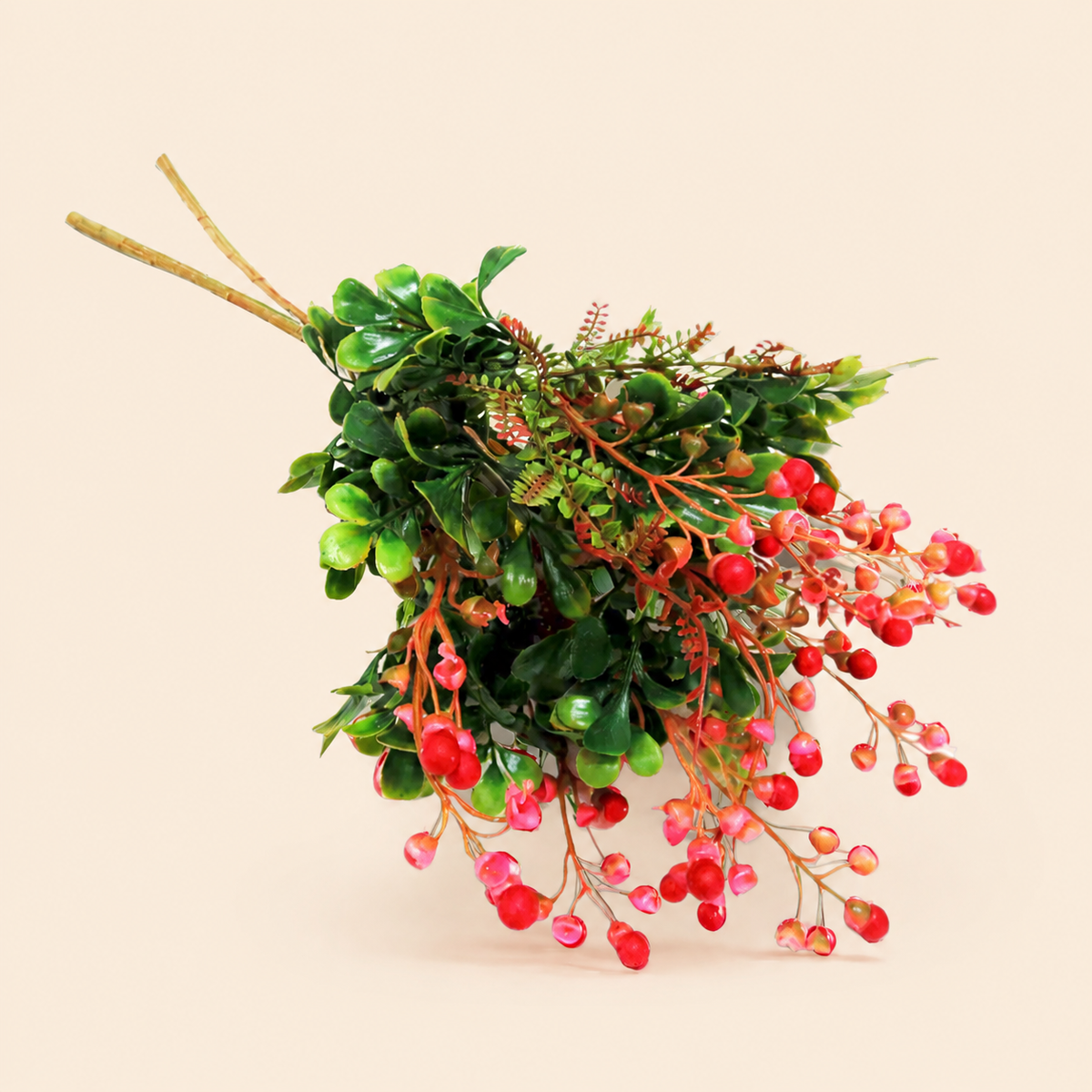 Beauty Berry Bunch catalogue view