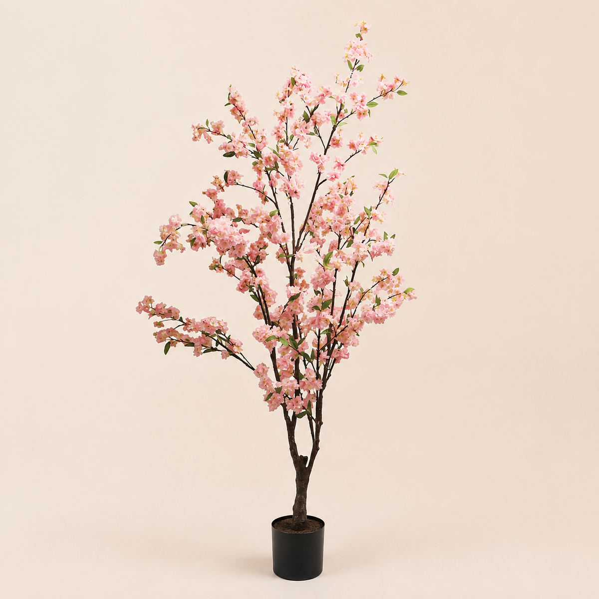 Blossom Tree – catalogue view