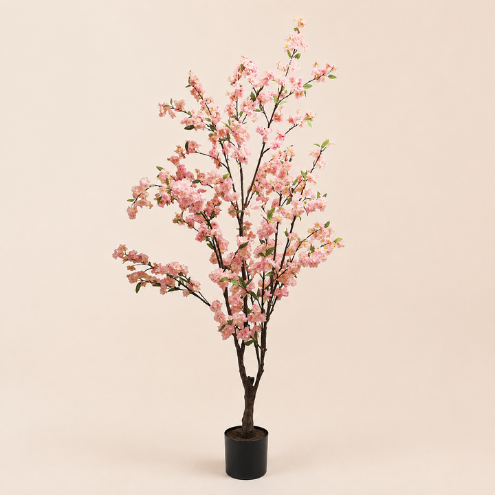 Blossom Tree – catalogue view