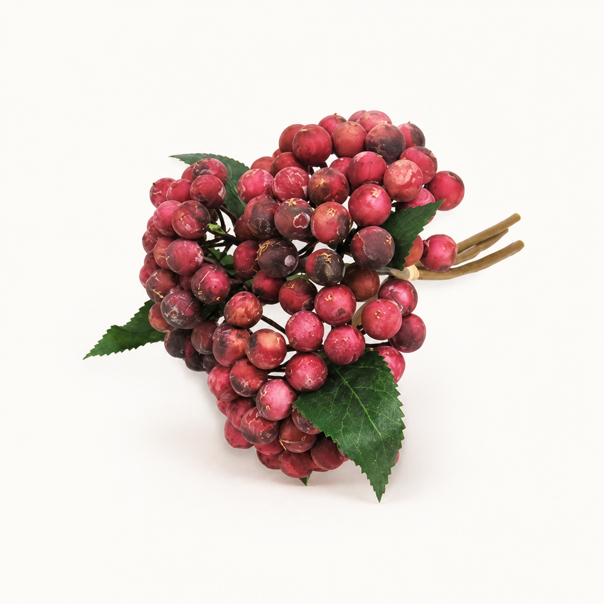 Bunch of wild fruit pink — catalogue product image