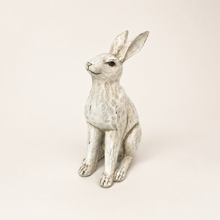 Bunnybun - catalogue