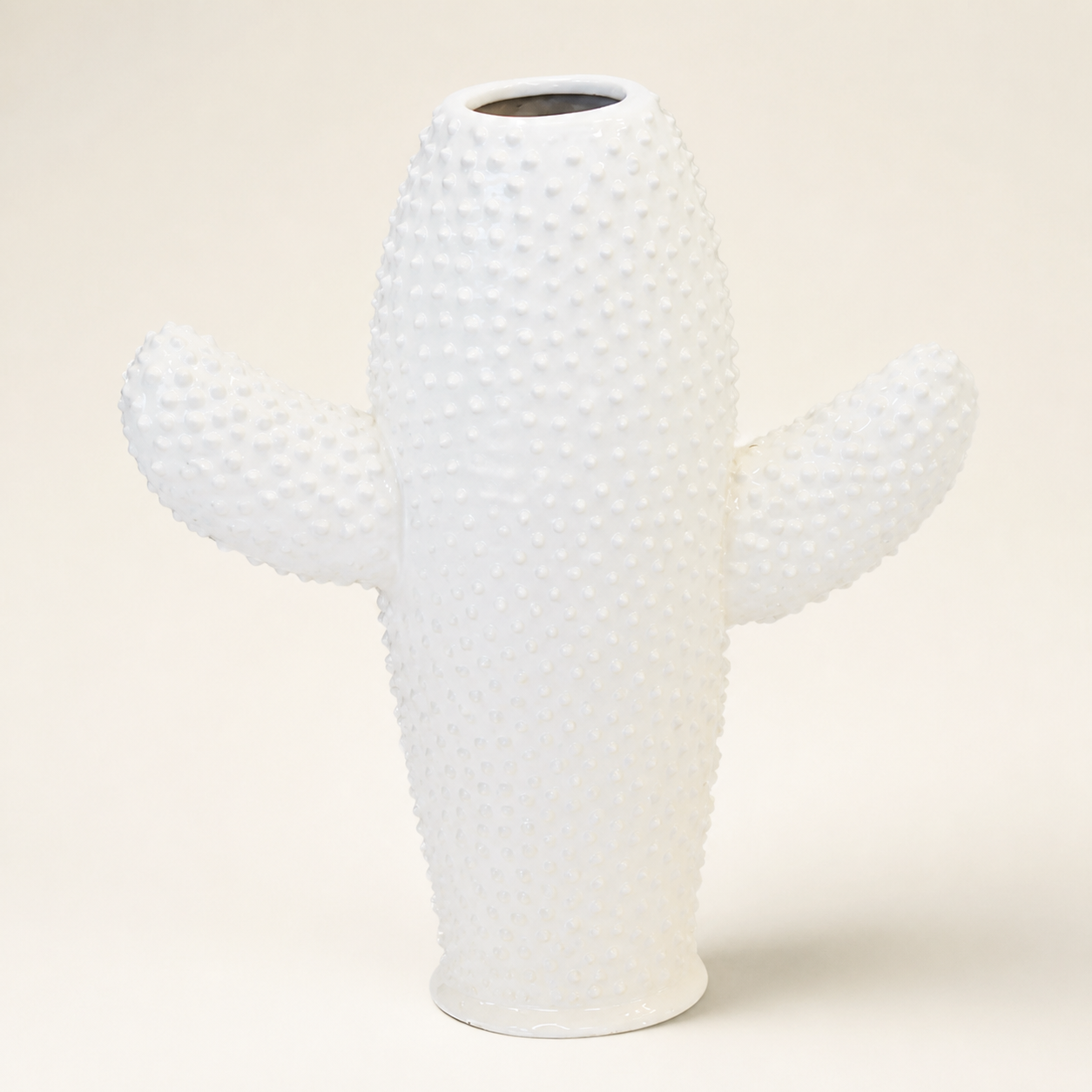 Ceramic cactus vase white flat small - catalogue