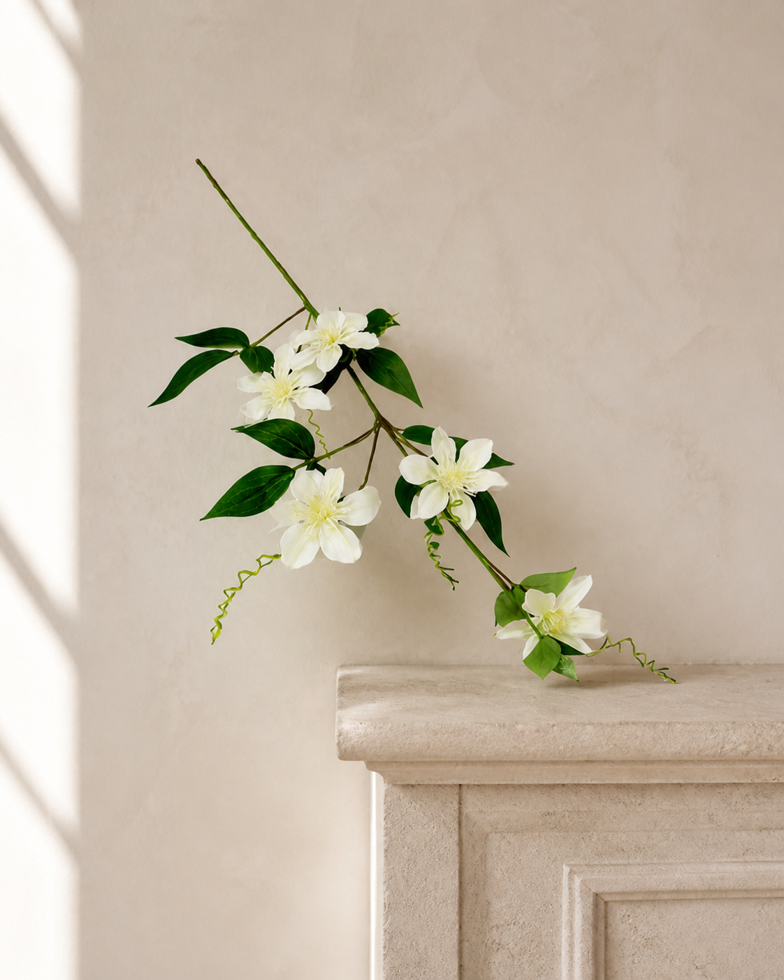 Clematis passionata - luxury lifestyle