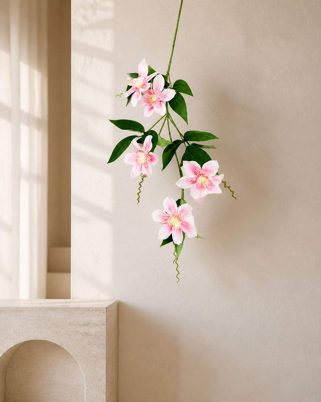 Clematis soft pink - luxury lifestyle