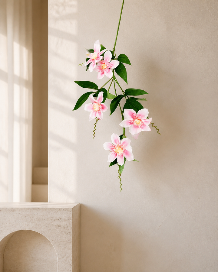 Clematis soft pink - luxury lifestyle