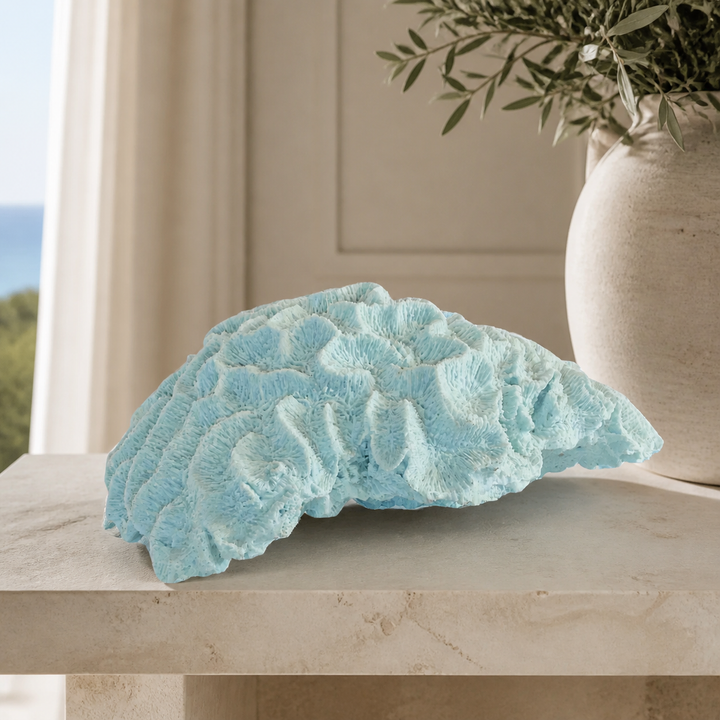 Coral brain blue x large — luxury lifestyle image