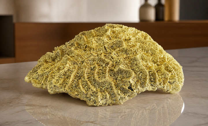 Coral Brain Large Gold — luxury lifestyle image