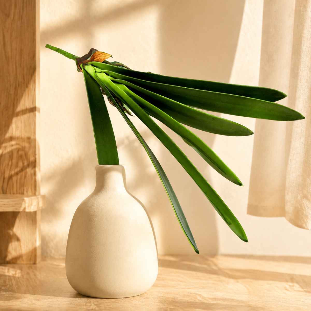 Cymbidium Leaf — luxury lifestyle product image