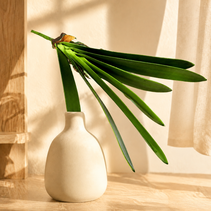 Cymbidium Leaf — luxury lifestyle product image
